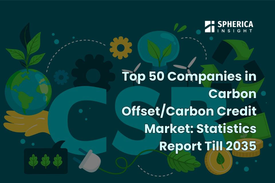 Carbon Offset/Carbon Credit Market