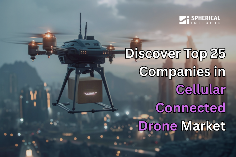 Cellular Connected Drone Market