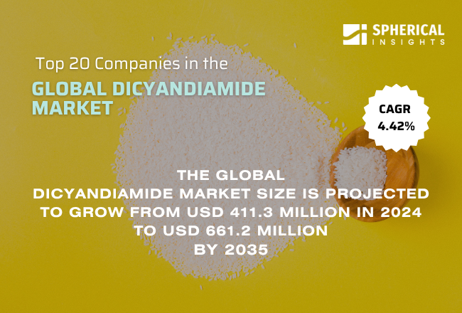 Dicyandiamide Market