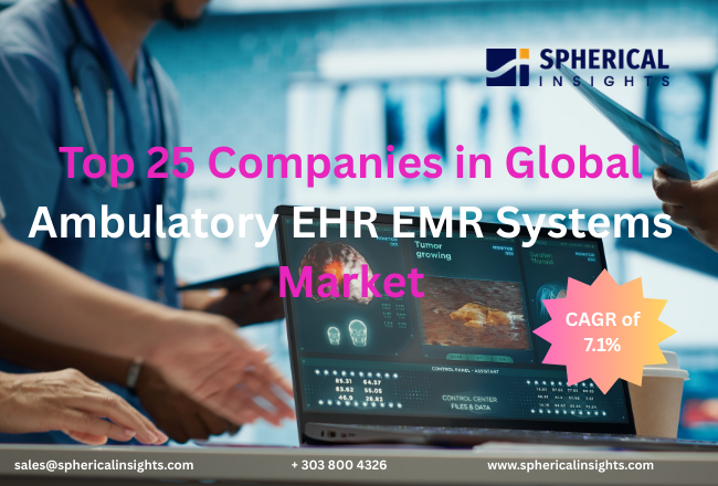 世界の ambulatory EHR/EMR システム市場