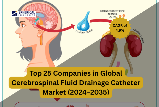 Global Cerebrospinal Fluid Drainage Catheter Market