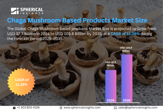 Global Chaga Mushroom Based Products Market