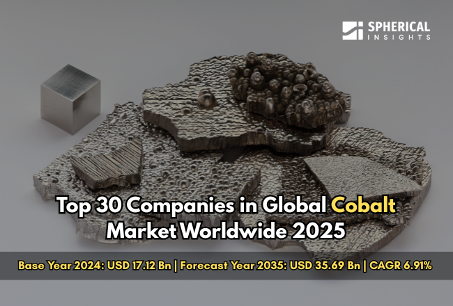 世界のコバルト市場における主要企業トップ30（2025年）：市場調査レポート（2024～2035年）