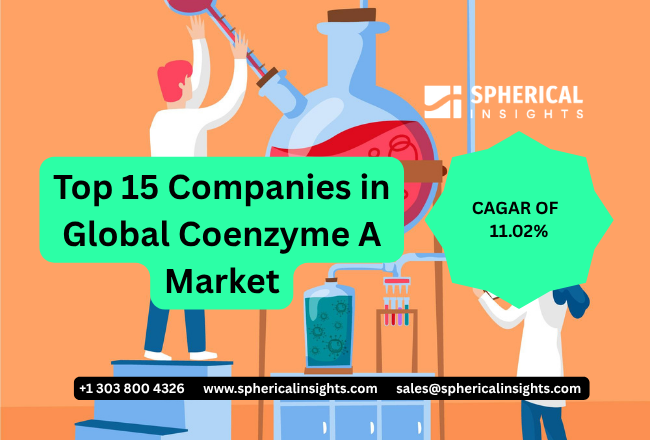 世界のコエンザイムA市場における主要企業トップ15：Spherical Insightsによる業界インテリジェンス・レポート（2024～2035年）
