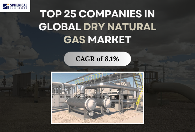 Global Dry Natural Gas Market