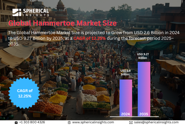 Global Hammertoe Market