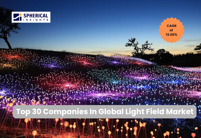 世界のライトフィールド市場における主要企業トップ30（2026年～2035年）：Spherical Insightsによる専門的見解