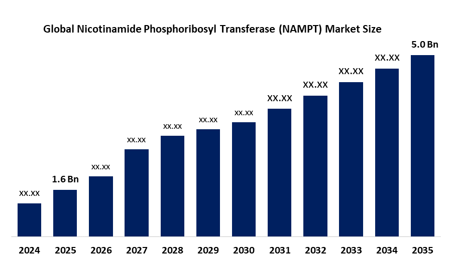 Global Nicotinamide Phosphoribosyl Transferase (NAMPT) Market