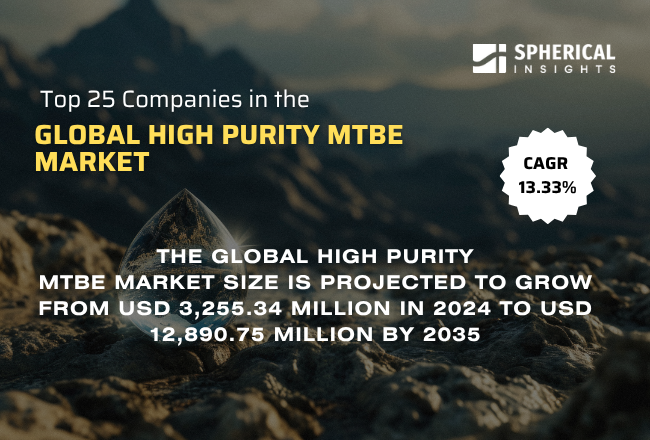 世界の高純度MTBE市場における主要企業トップ25（2025～2035年）：Spherical Insightsによる専門的見解