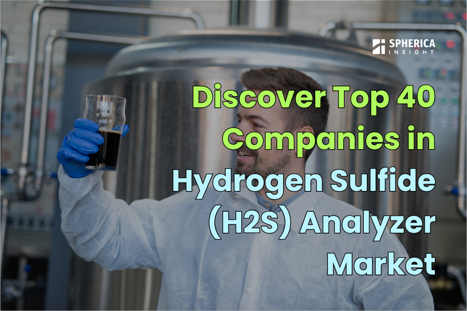 硫化水素(H2S)分析計市場