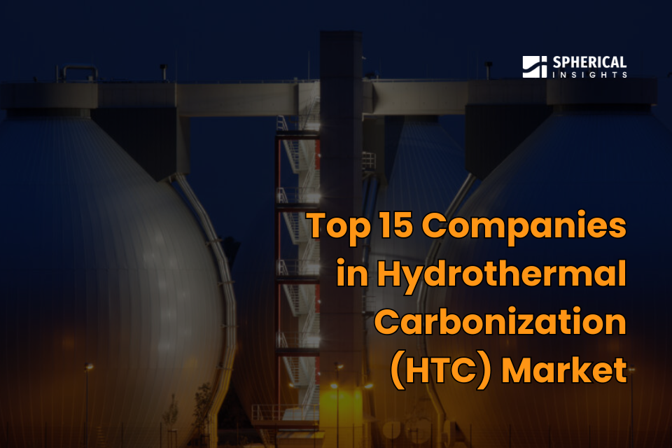水熱炭化(HTC)市場
