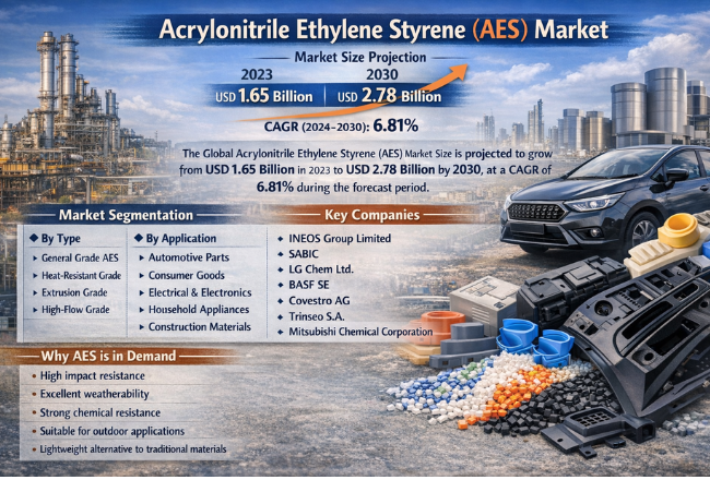 アクリロニトリル エチレン スチレン（AES）市場におけるトップ15社（2025年）：戦略的概要と将来のトレンド（2024〜2035年）