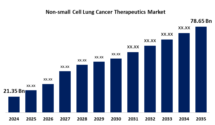Global Non-small Cell Lung Cancer Therapeutics Market